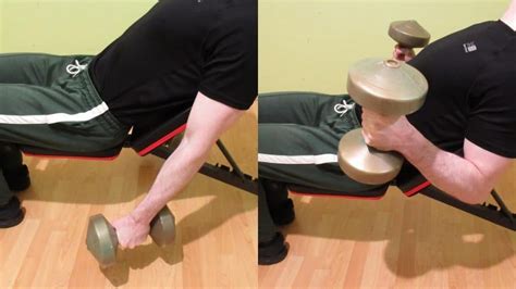 Incline Dumbbell Hammer Curl Tutorial and Benefits