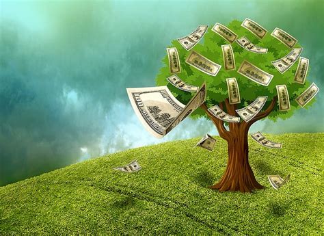 cash money wealth  image  pixabay