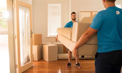 rated sofa assembly experts   airtasker