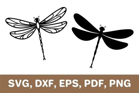 Dragonfly svg, dragonfly template, dragonfly dxf, Cricut