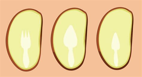 Persimmon Seed Weather Prediction 2025 - Aria Kaveh