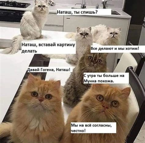 Пин на доске Посмеёмся
