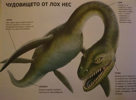 Съвременност - МИТИЧЕСКИ ЧУДОВИЩА