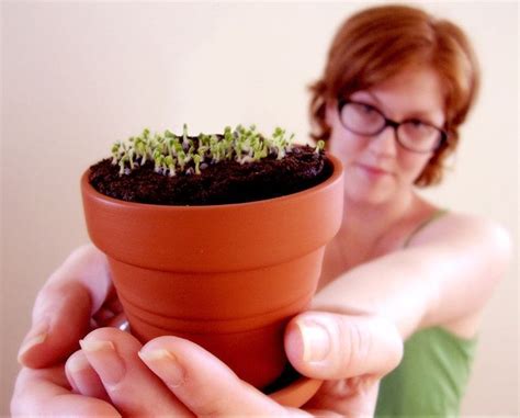 Посев семян на рассаду | Любимые цветы | Planter pots, Seedlings, Planters