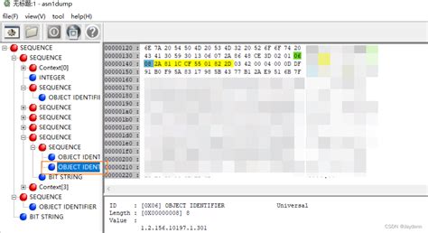 xsubject public key infosubjectpublickeyinfo csdn