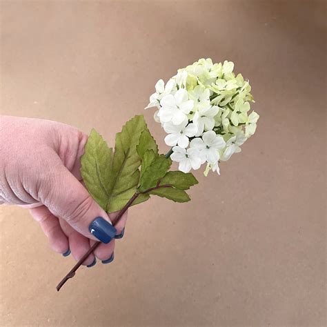 The unusual soil trick that turns a snowball hydrangea bright blue 9