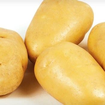 Семенной картофель купить с доставкой почтой России