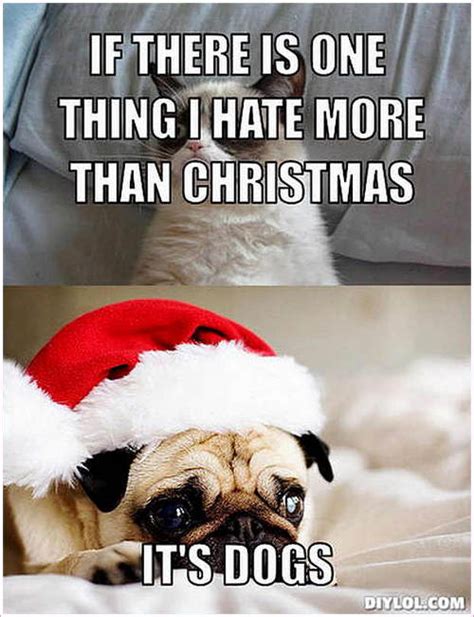 Top 10+ Pug Christmas Memes That Will Make You Merry!