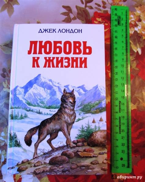 Любовь к жизни картинки и фото