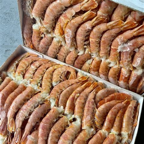 Лангустины С1 без головы,2 кг. 30/55шт/кг - купить в СПб | РЫБОЛОВ