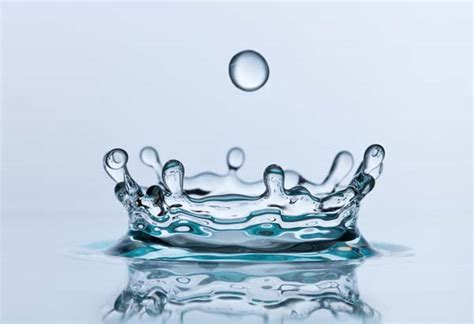 30 Magnificent Splash Photos