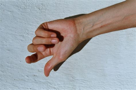 La main : sa vie - Les Mains du Bonheur