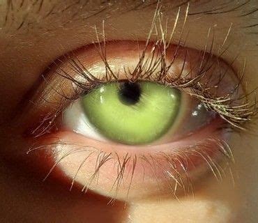peridot eye color peridot green eyes light jade eyes cool eyes