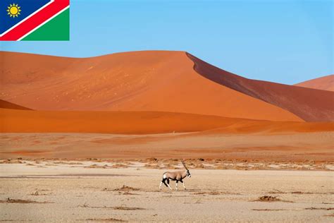namibia travel blog  level  travel