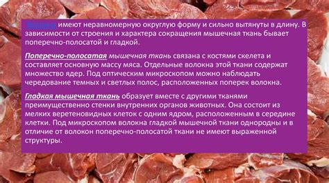 Анализ химического состава мяса - презентация онлайн
