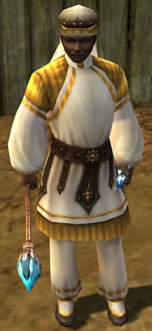 Dwarf Guard - Guild Wars Wiki (GWW)