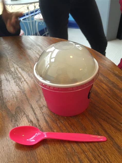 Ices Plain and Fancy: Campfire S'mores