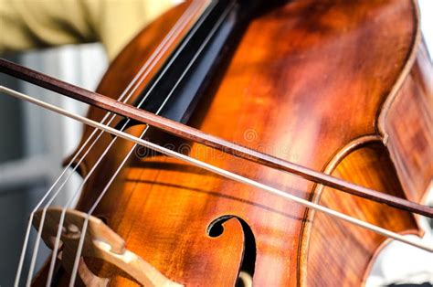 cello close  stock image image  bridge crop string