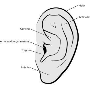 This is a sharp razor. It would be a shame if it slipped and cut my ear ...