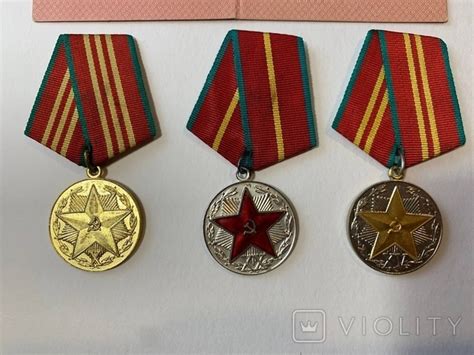 Медали За Безупречную службу и документ - «VIOLITY»