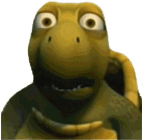 turtle huh meme sticker turtle huh meme discover  share gifs