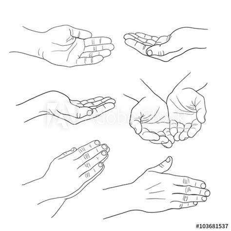 Hand Palm Sketch at PaintingValley.com | Explore collection of Hand ...