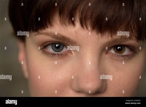 woman   differently colored eyes stock photo alamy
