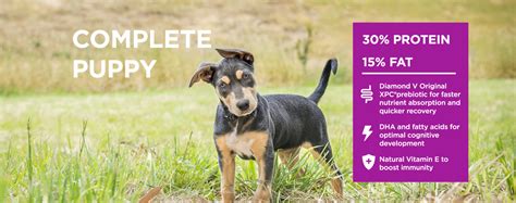 Cobber® Complete Puppy: The best start in life - Cobber