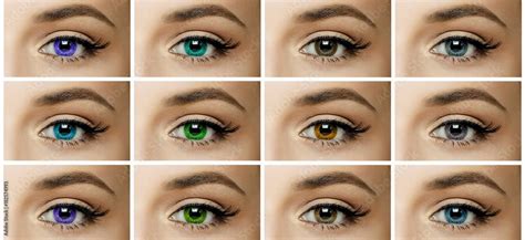 set, collage, different types of color contact lenses. shades of green ...