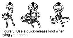 Quick-release | Quick release knot, Horses, Knots