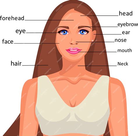 Partes Do Rosto Em Ingles - Partes Do Rosto Em Inglês - BRAINCP