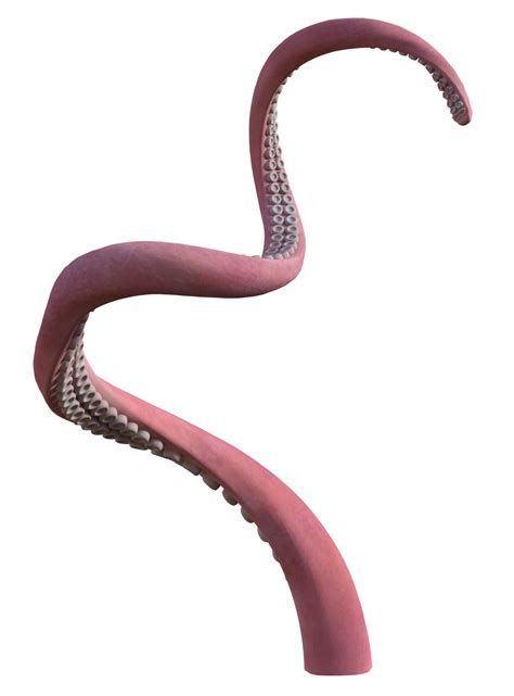 Tentacle PNG Transparent Images
