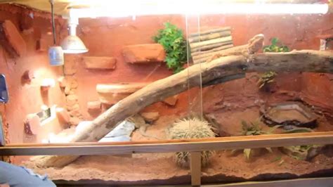Terrarium Maison Pour Pogona | Ventana Blog
