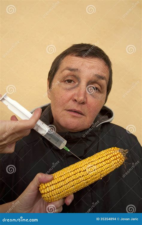 GMO kukurudza zdjęcie stock. Obraz złożonej z konceptualny - 35354894