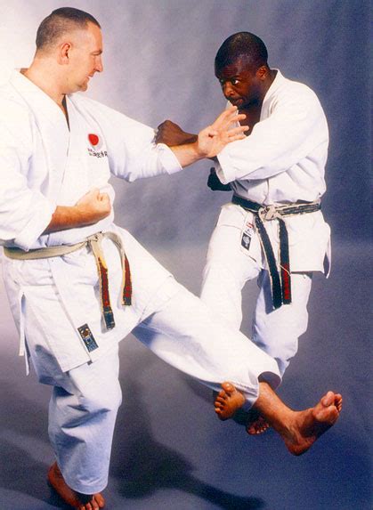 shotokan karate magazine elwyn hall