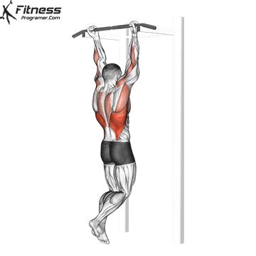 How To Do A Chin-Up | Muscles Worked And Benefits