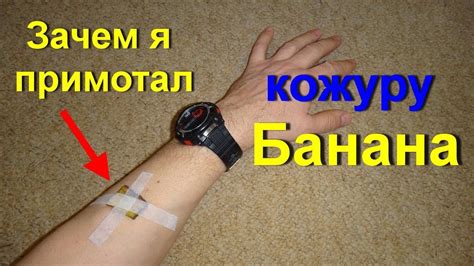 Не выбрасывайте кожуру от бананов. Банановая кожура сильнейший ...