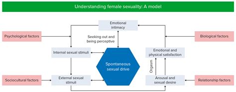 Female Sexual Dysfunction | Concise Medical Knowledge