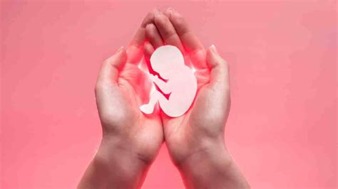 Abortion Wallpapers - Top Free Abortion Backgrounds - WallpaperAccess