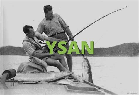 YSAN Meaning » Slang term definition & example usage » Slang.org