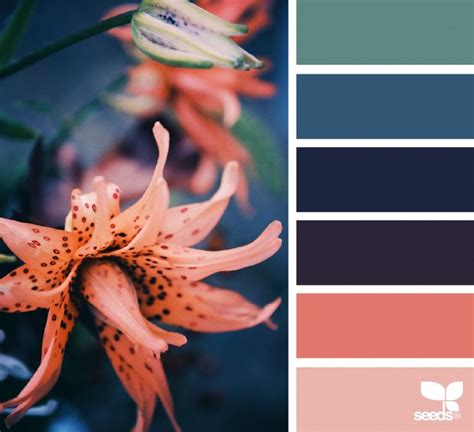Pin by Наталья on Цветовые сочетания, палитры | Color palette design ...