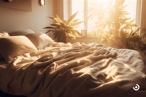 Sweet Dreams: The Best Cannabis Strains for Restful Sleep