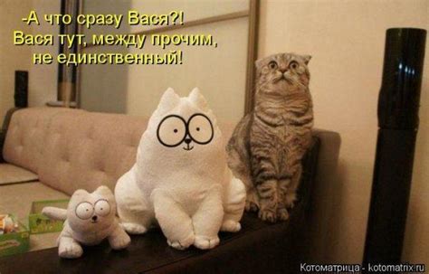 Cмешные картинки и фото-приколы