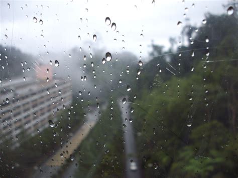 Pictures of Misty Rain