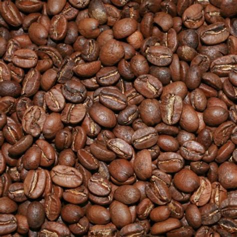 خرید قهوه روبوستا اوگاندا - کافئینتو