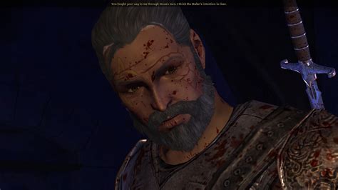 Duncan File Set 1 at Dragon Age: Origins - mods and community