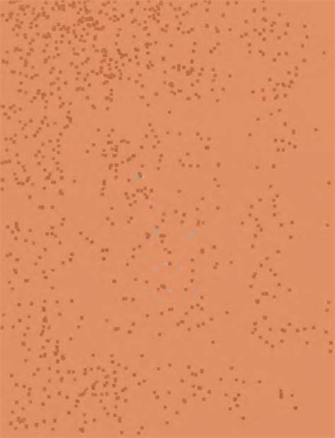 santa rosa de lima  fondoeditorialbcp issuu