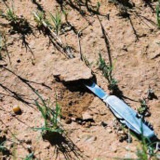 soil crust classification system  scientific diagram