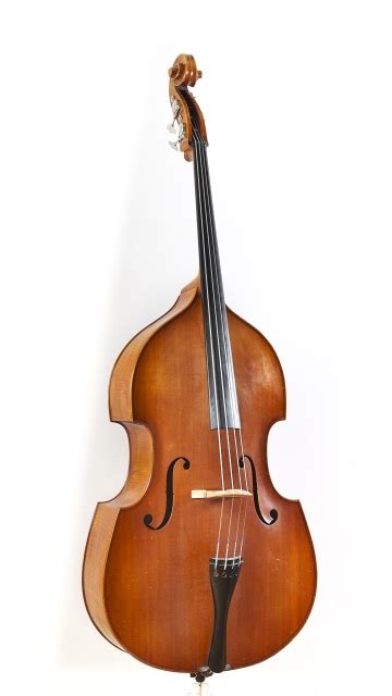 Kontrabass / Double Bass | Berlin-Strings