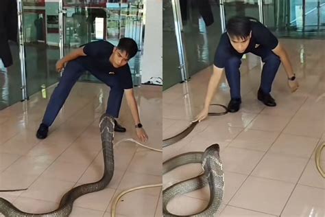 panas melampau sampai ular berteduh  rumah abang bomba titip pesanan